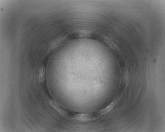 X0000080700082200612301525