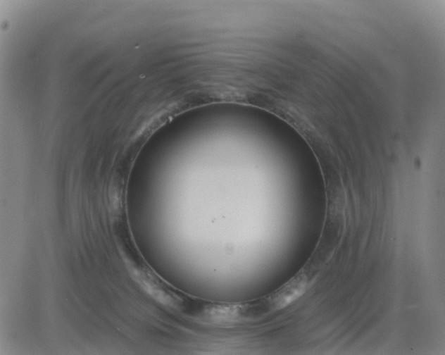 X0000080700084200612301525