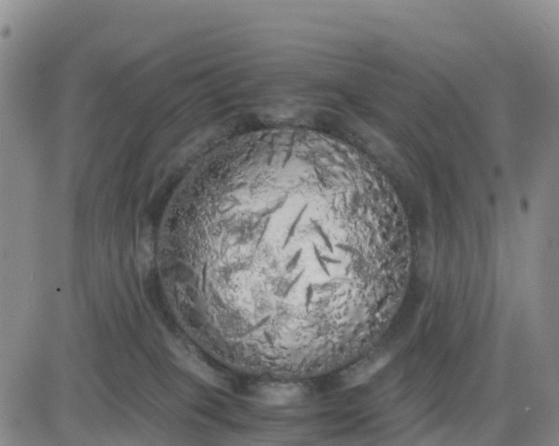 X0000080700085200612301525