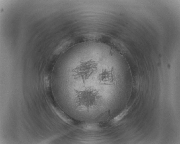 X0000080700086200612301525