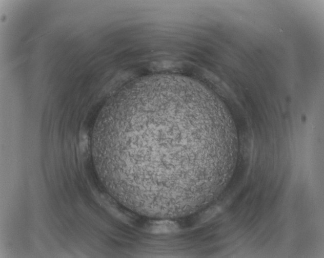 X0000080700087200612301525