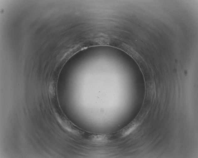 X0000080700088200612301525