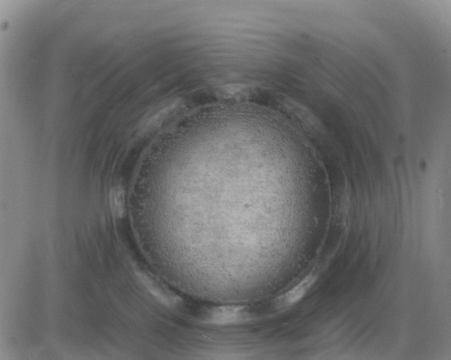 X0000080700090200612301525