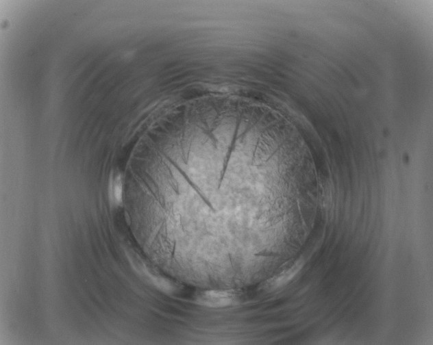 X0000080700095200612301525