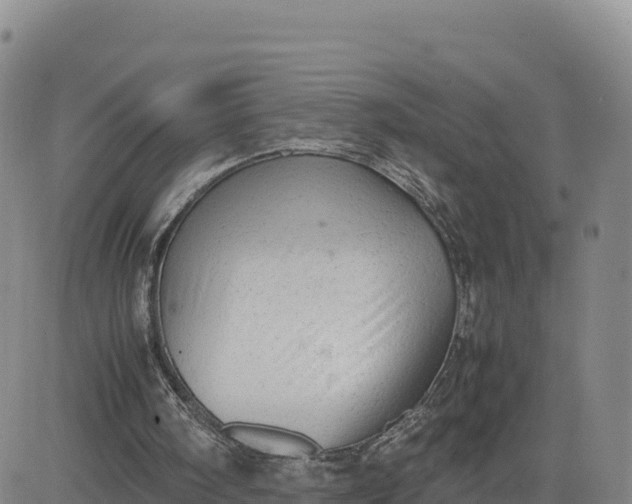 X0000080700098200612301524