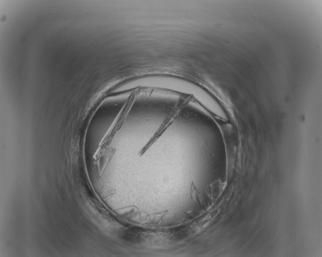 X0000080700107200612301524