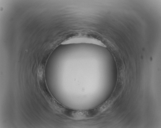 X0000080700129200612301523