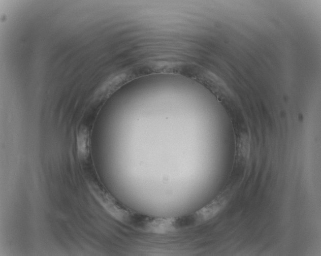 X0000080700138200612301523