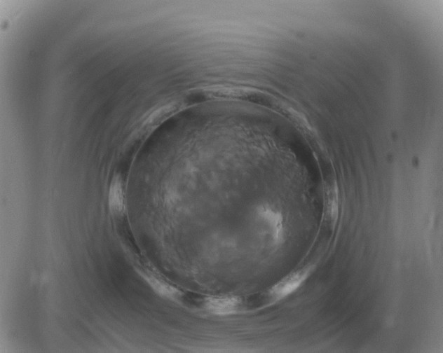X0000080700143200612301523
