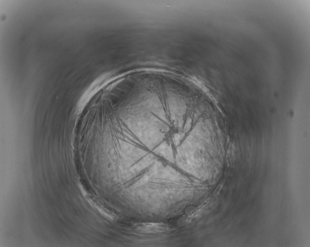 X0000080700151200612301523
