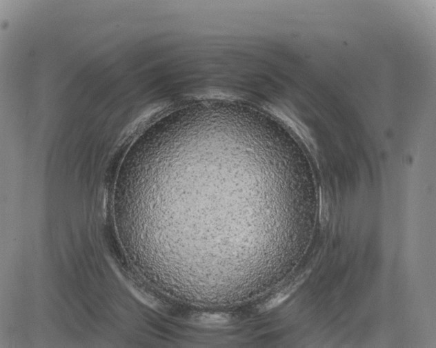 X0000080700157200612301523