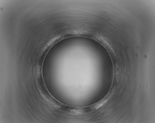 X0000080700164200612301523