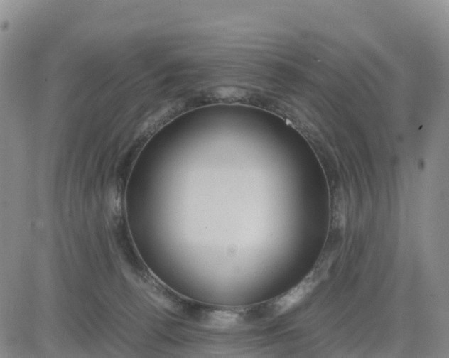 X0000080700176200612301523