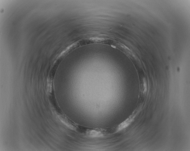 X0000080700180200612301523