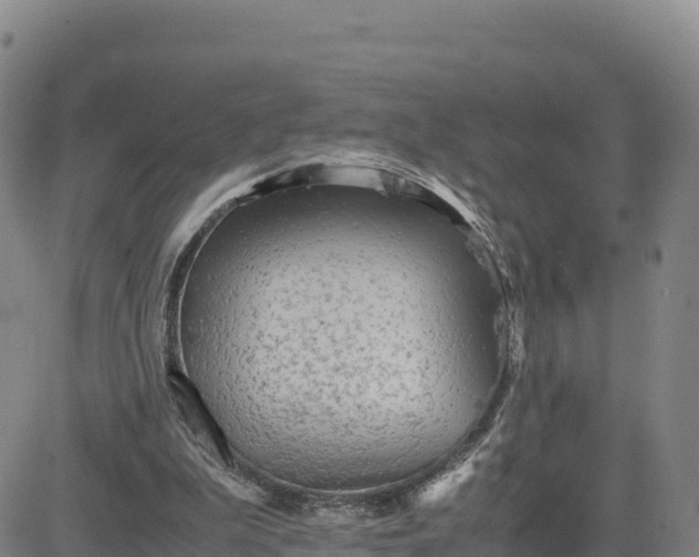 X0000080700199200612301522