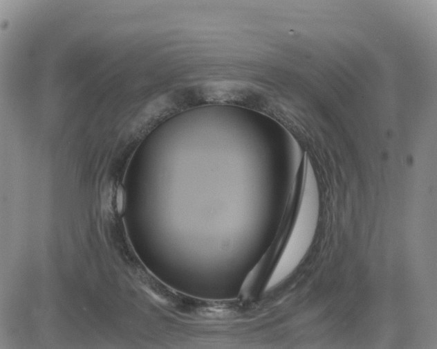X0000080700219200612301522