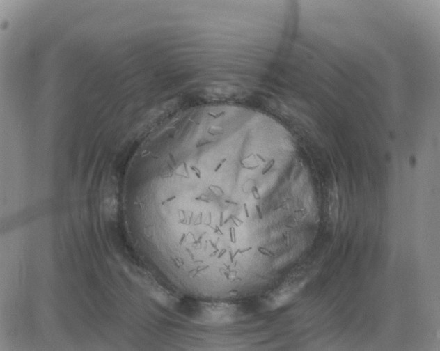 X0000080700226200612301522