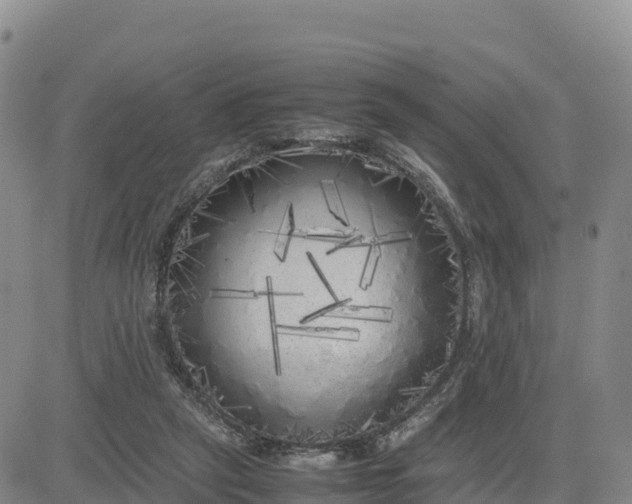 X0000080700257200612301521