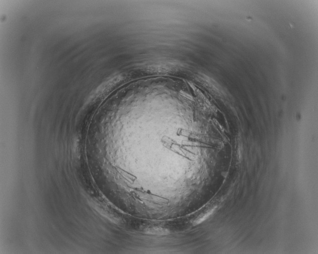 X0000080700258200612301521