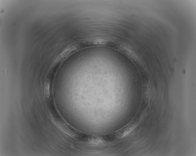 X0000080700262200612301521