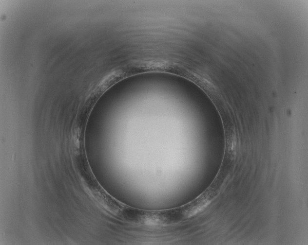 X0000080700264200612301521