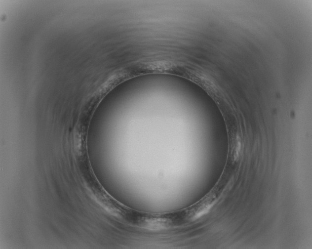 X0000080700268200612301521