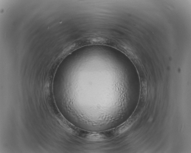 X0000080700269200612301521