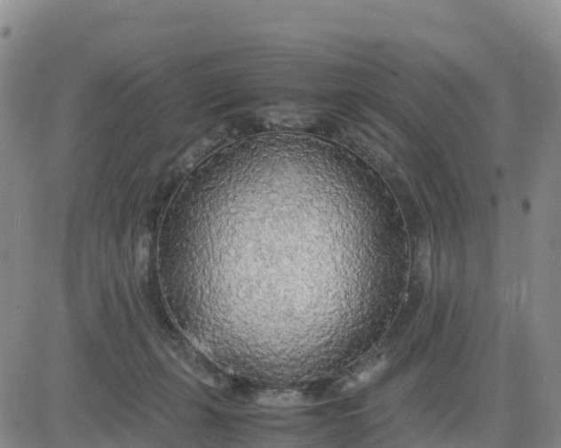 X0000080700271200612301521