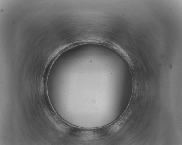 X0000080700298200612301521
