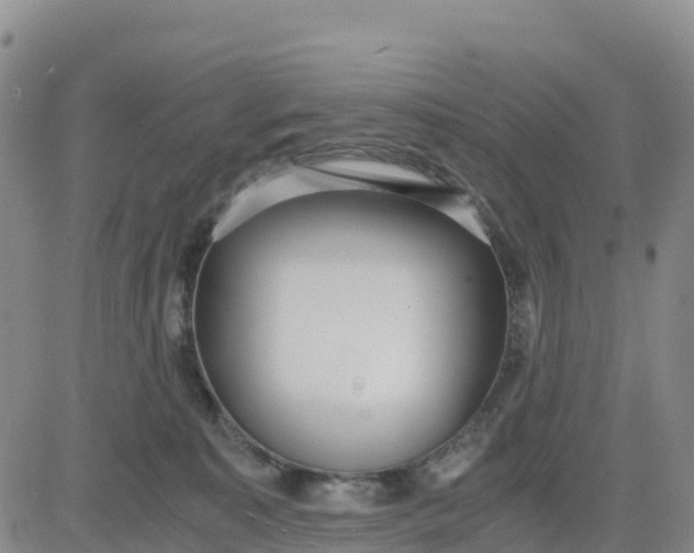 X0000080700323200612301520