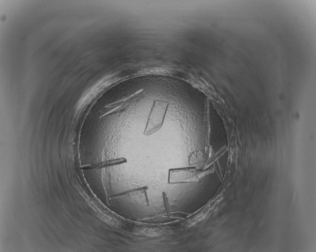 X0000080700341200612301519