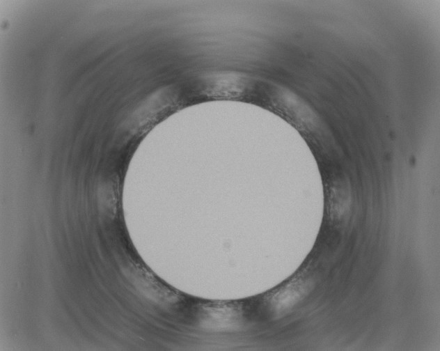 X0000080700370200612301520