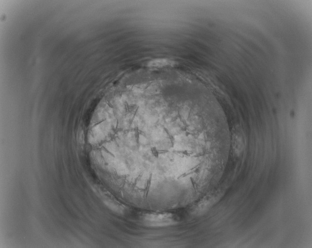 X0000080700375200612301520
