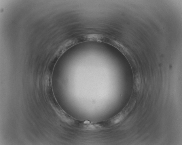 X0000080700379200612301520
