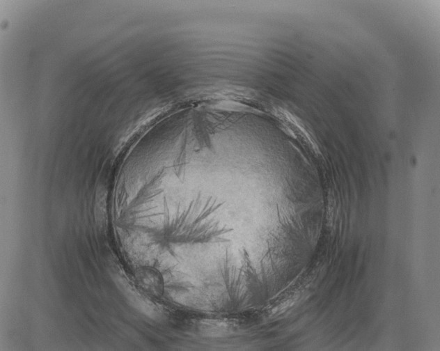 X0000080700394200612301519