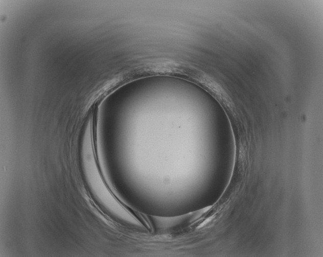 X0000080700397200612301519