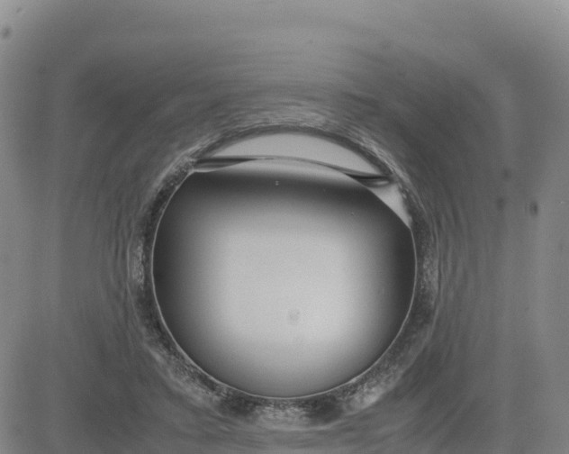 X0000080700403200612301519