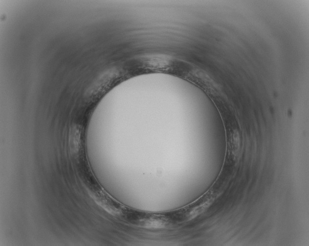X0000080700412200612301519