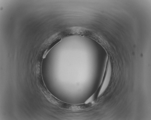 X0000080700413200612301519