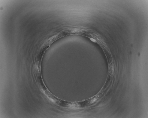 X0000080700415200612301519