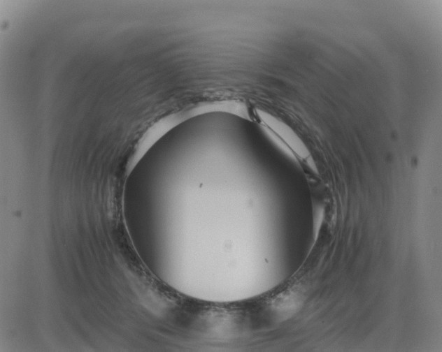 X0000080700416200612301519