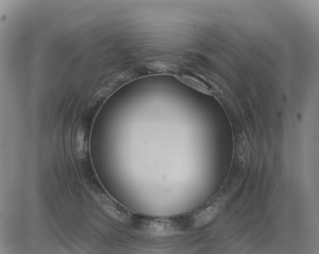 X0000080700420200612301519