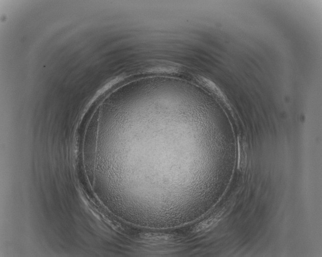 X0000080700435200612301518