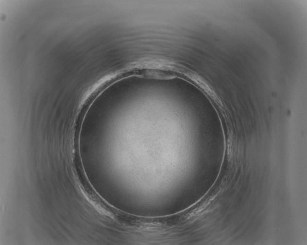 X0000080700438200612301518