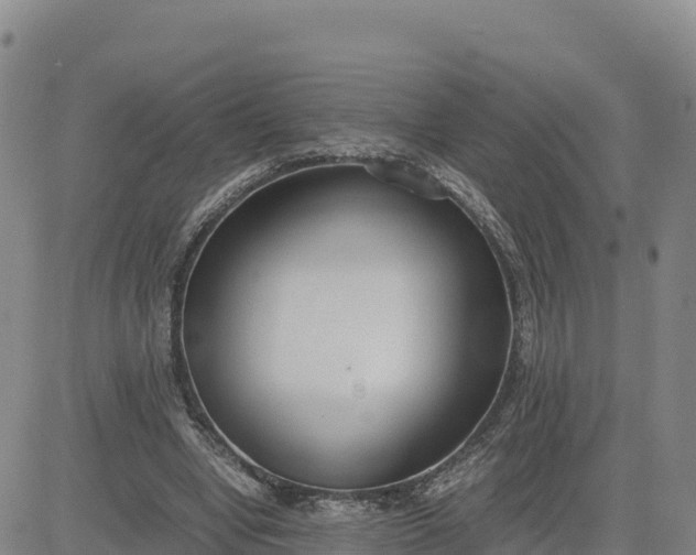 X0000080700442200612301518