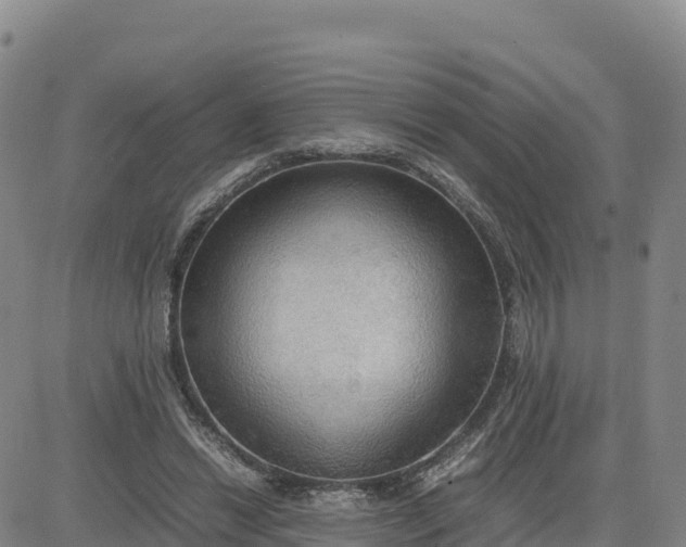 X0000080700446200612301518