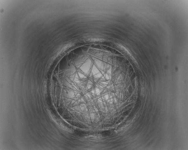 X0000080700447200612301518