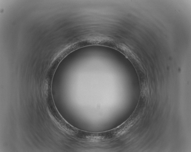 X0000080700448200612301518