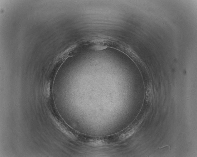 X0000080700454200612301518