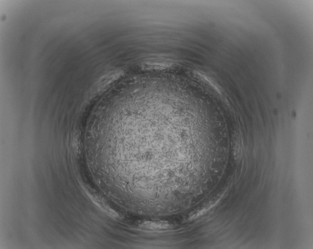 X0000080700455200612301518
